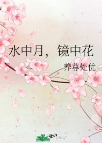 水中月，镜中花